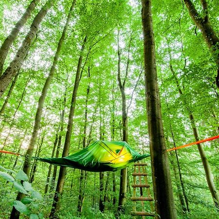 Appartementhaus Eifeladventures Berlingen Ngoại thất bức ảnh