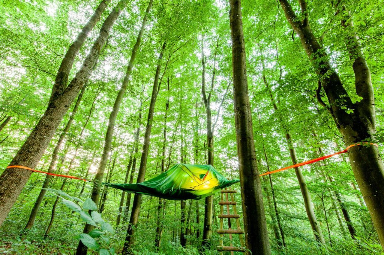 Appartementhaus Eifeladventures Berlingen Ngoại thất bức ảnh